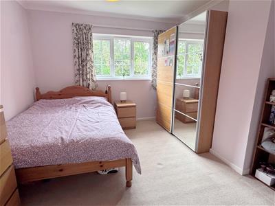 Picture 21